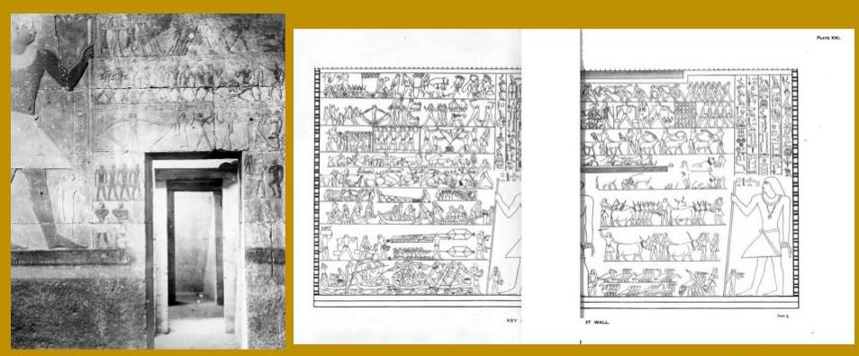 Figure 3: (left) Lantern slide image of Tomb of Mera, Sakkara, S10_08_Sakkara from Brooklyn Museum’s Lantern Slide Collection. (right) Plate XXI from Norman Davies, The Mastaba of Ptahhetep and Akhethetep at Saqqareh (1900); accessed via Internet Archive at https://archive.org/details/mastabaptahhete01davigoog/page/n104/mode/2up
Note the progression of images on each register of the line drawing, for instance harvesting papyrus (top left) and wrestling (top right). To a viewer in ancient Egypt or to one pulling the image through a lantern slide three thousand years later these step-by-step progressions may well have produced an animated effect.